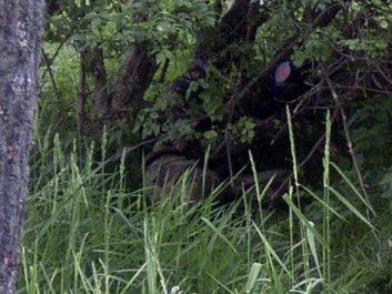 Paintball_2004_10